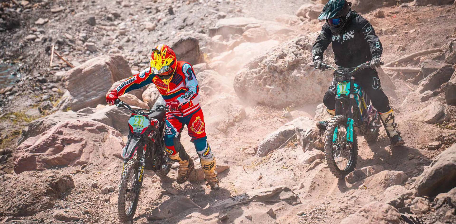 Home-Professional Rider